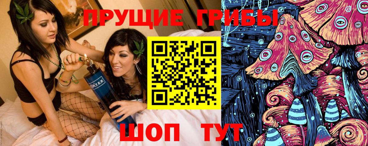 Псилоцибиновые грибы прущие грибы  Галлюциногенные грибы Psilocybine cubensis  Приморско-Ахтарск  Вход с VPN 