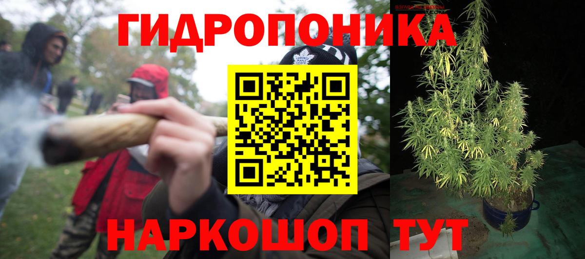Шишки марихуана семена  МАРИХУАНА AK-47  Вход с VPN  Приморско-Ахтарск  МАРИХУАНА сатива 