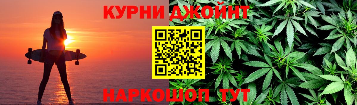 Конопля гибрид Приморско-Ахтарск